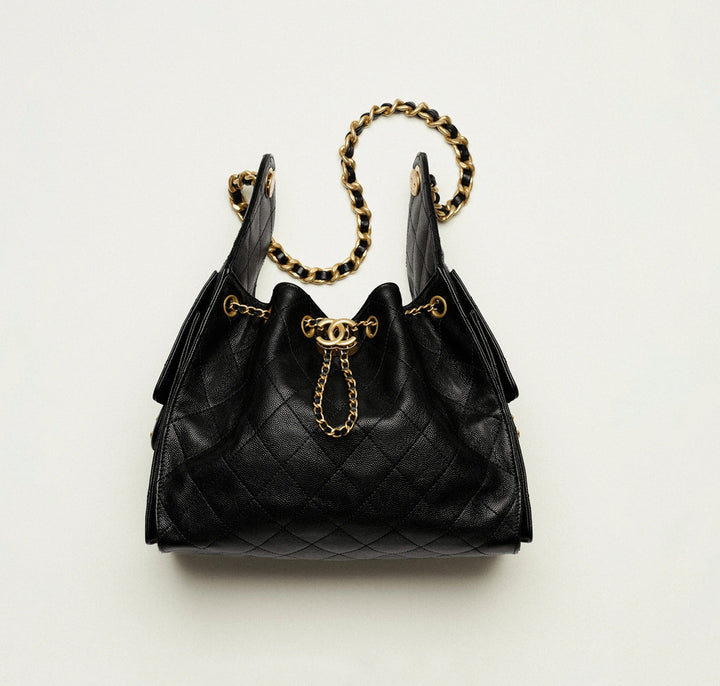 Valersia Chanel 25 Bag - Premium design